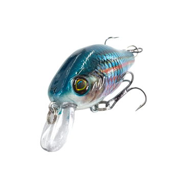 Selco 5.5cm 8g Hard Soft Plastic Fishing Lure Bulk Plastic Baits for Carp Fishing – Soft Lure – view 1