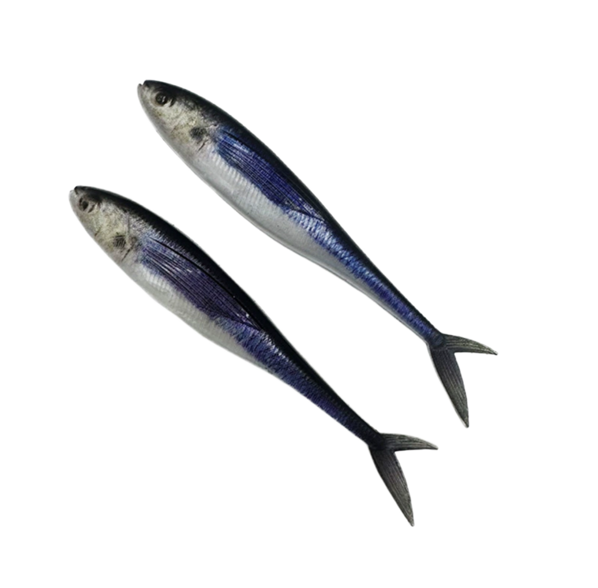 CHEERY Printed 12cm 3D PVC Fork Tail Soft Lure for Saltwater Fish Ocean Boat River Lake Sea Stream Fishing – Soft Lure – view 3